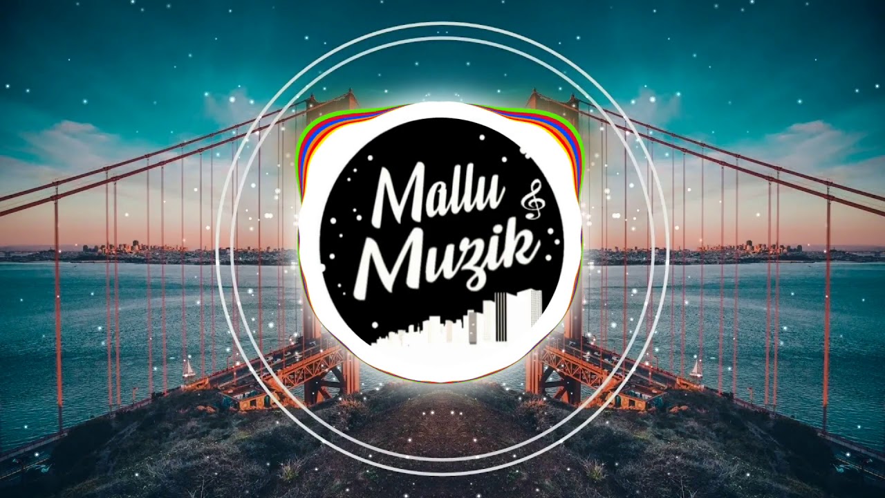 Stereo Hearts x Zaalima (Hindi x English Mashup) | DJ Sid | Mallu Muzik Official