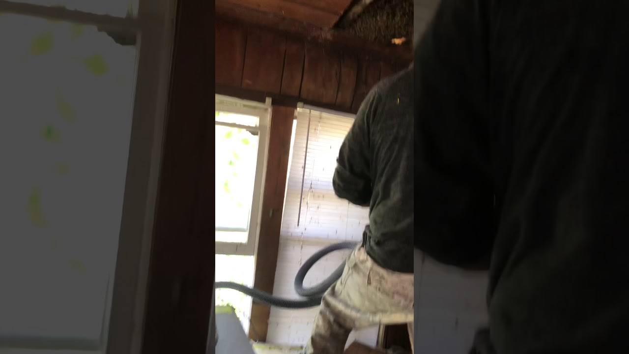 Colorado Bee Vac