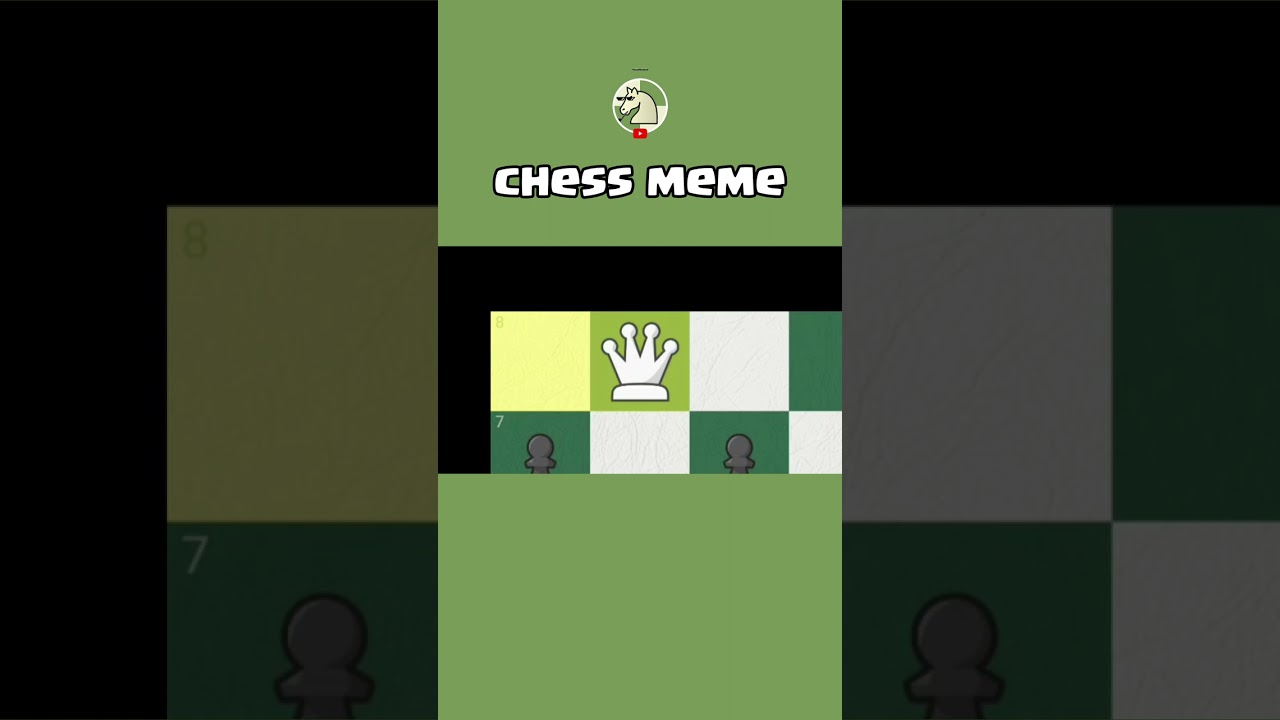 CHECKMATE!!!  #chessmemes #chess #shortsfeed