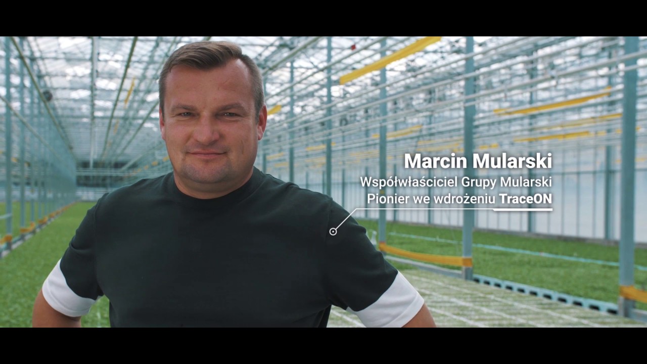TraceON w produkcji rozsady - innowacja w GRUPIE MULARSKI