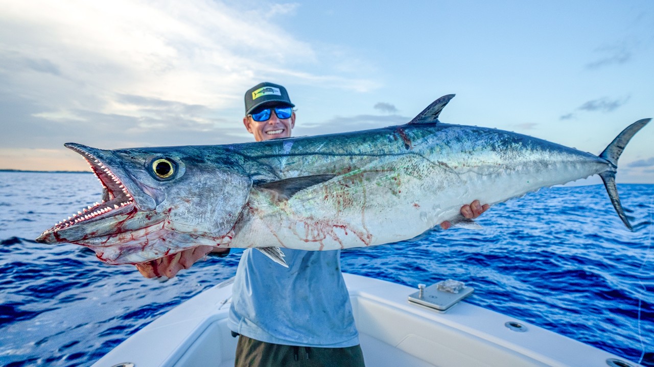 MOST Underrated DEEP Sea Fish! Catch Clean Cook (Kingfish)