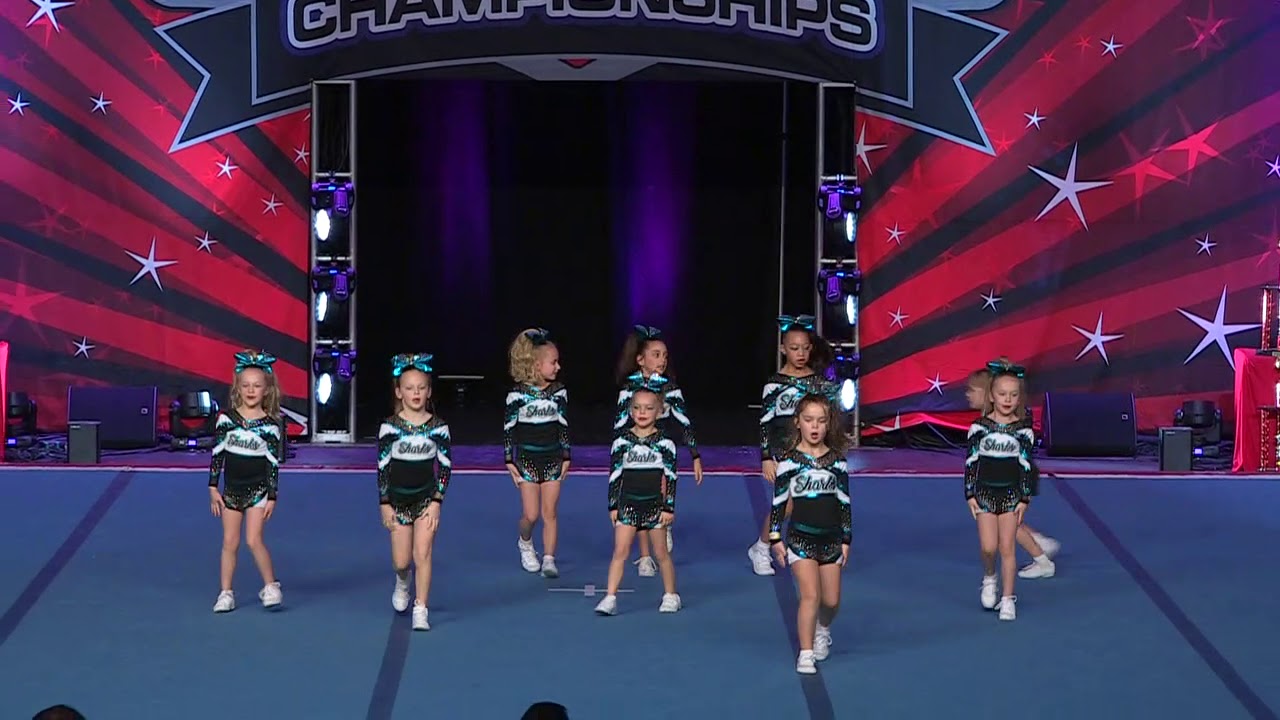 Cheer Sport Polkadot Sharks   Tiny 1