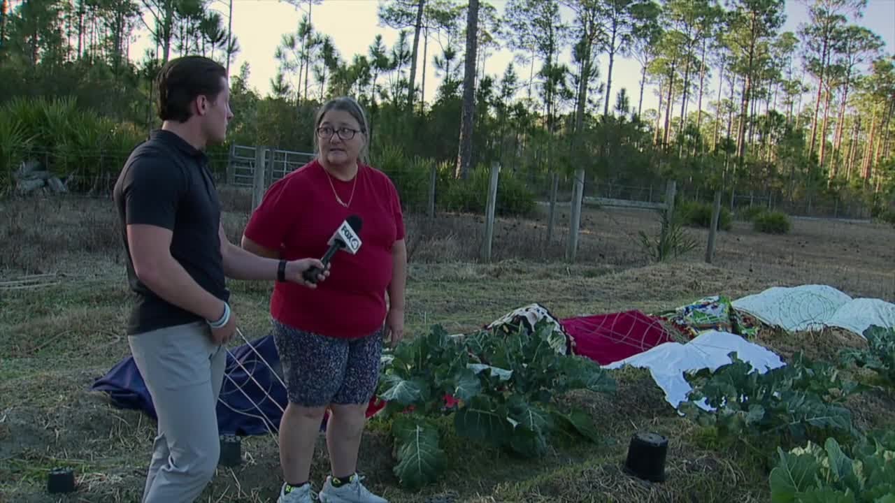 Charlotte County faces stricter water restrictions as drought worsens in Southwest Florida