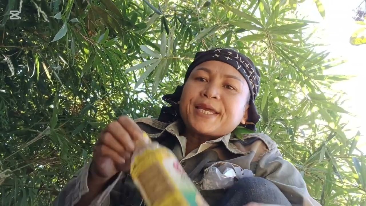 ไปหาน่อไม้ยามแล้งนำกัน ໄປຫານໍ່ໄມ້ຍາມແລ້ງນຳກັນ 🇱🇦🇱🇦