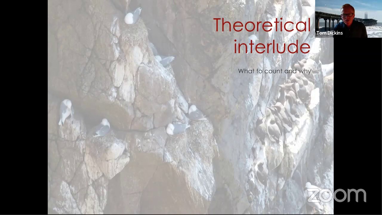 Life on the Edge: A long term study of Kittiwakes