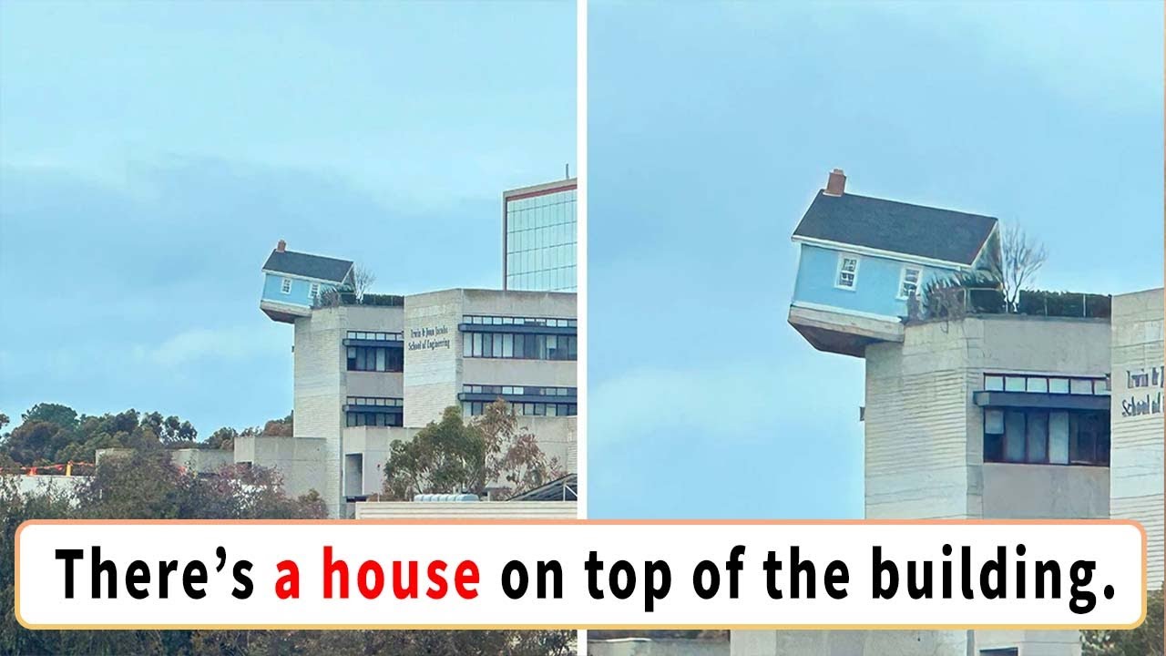 Times People Found Something So Out of the Box, It’s Hard to Believe It Actually Exists