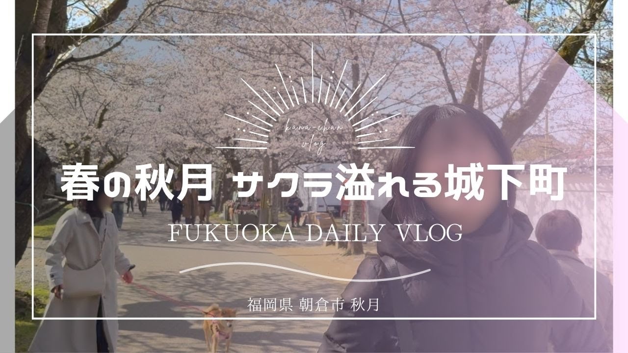 #5【福岡vlog】秋月・杉の馬場｜桜満開の城下町を歩いて春を満喫