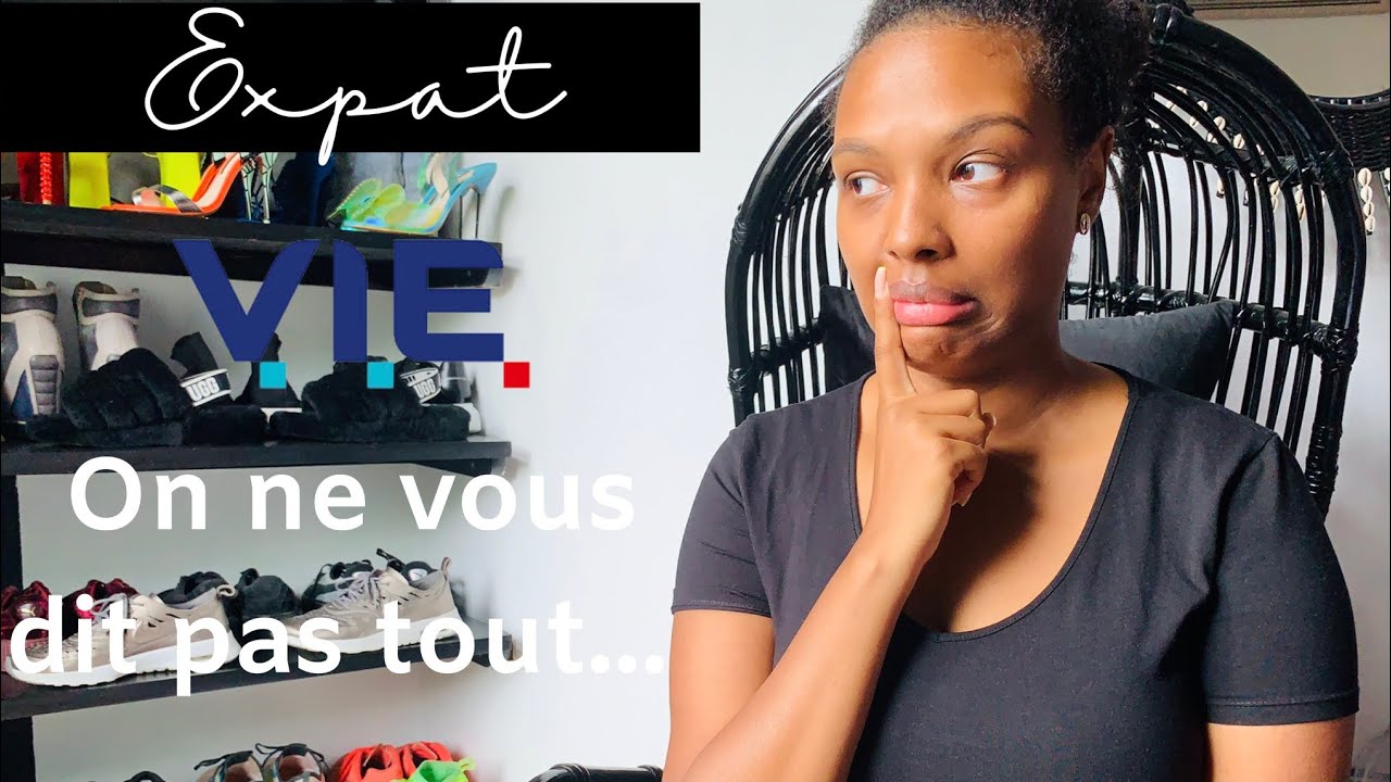 LA VERITE SUR LE V.I.E. (VOLONTARIAT INTERNATIONAL EN ENTREPRISE) | The Africanista