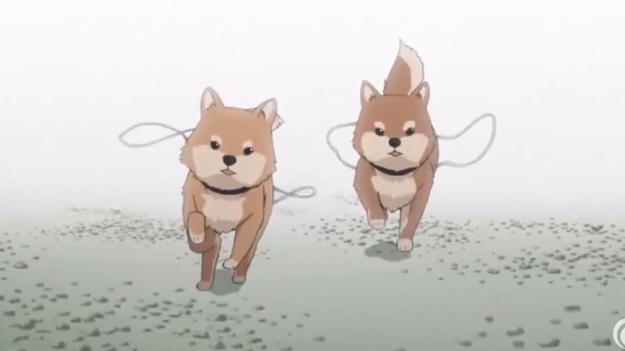 sia - puppies are forever / slowed + reverb