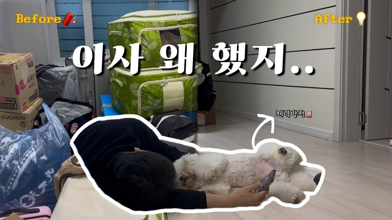 [VLOG] #1 원룸→투룸 이사 왜 이렇게 힘들죠? | 강아지랑 이사한 날🐶