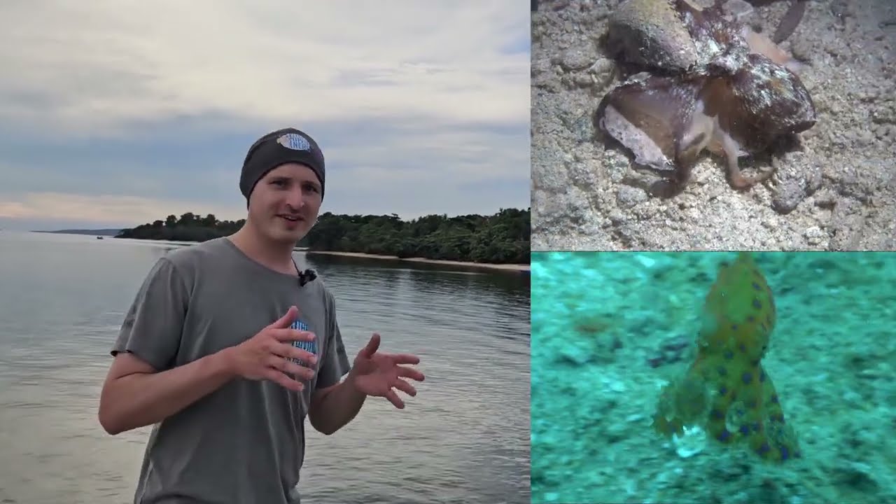 Divesite: Bastianos Bangka - Nord Sulawesi (Indonesien)
