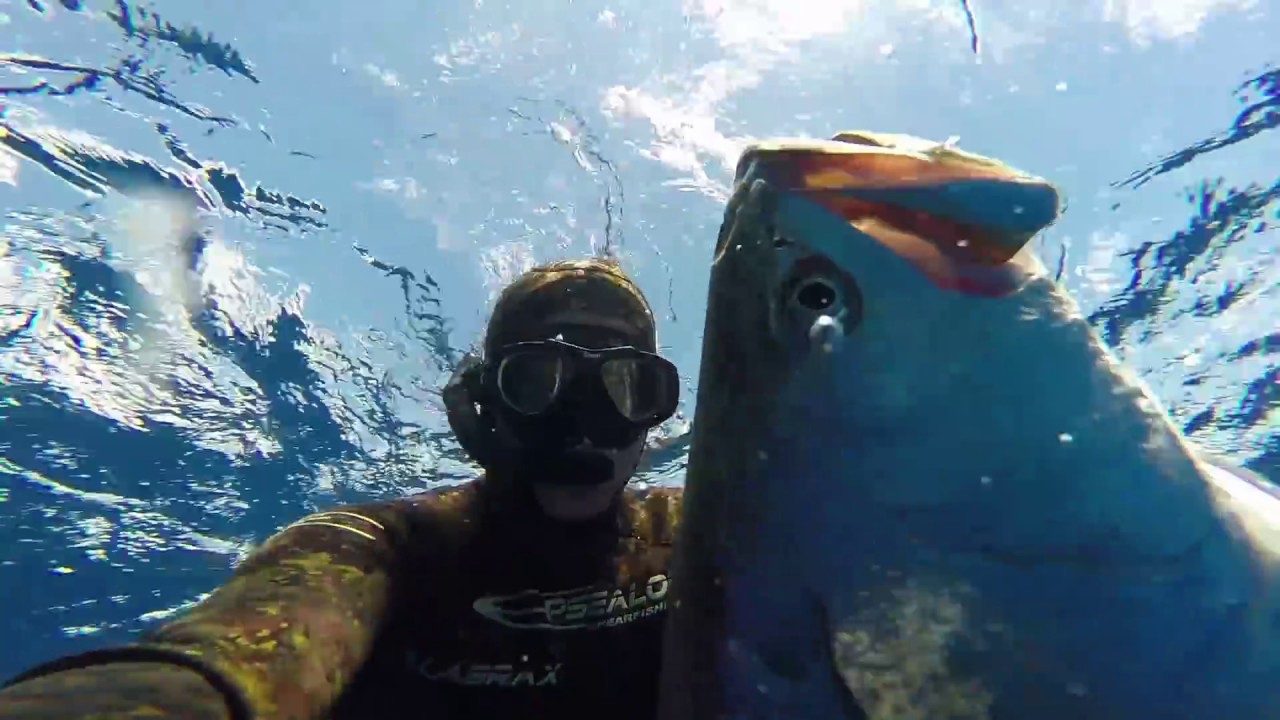 Pesca submarina en Costa Rica 2016