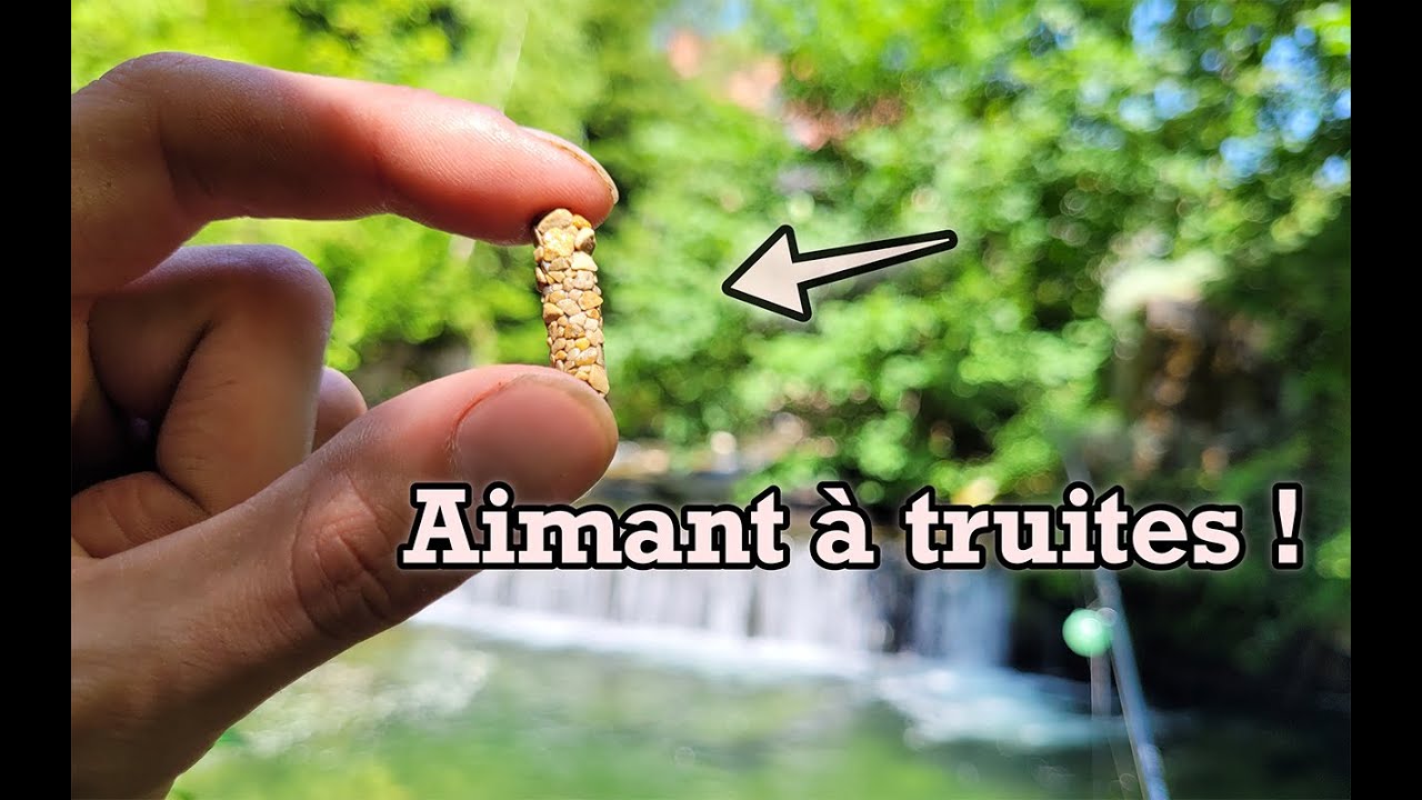 Cette LARVE aquatique est un appât INCROYABLE pour la TRUITE !