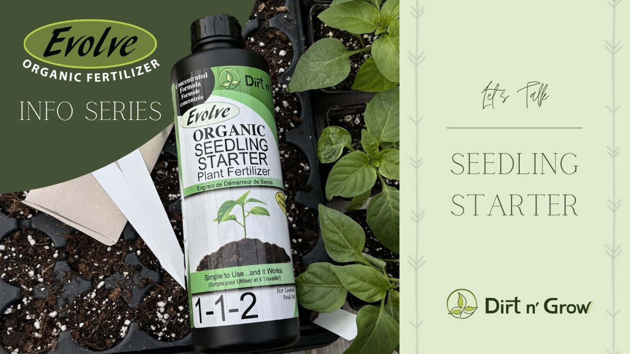 The EVOLVE Info Series: Organic Seedling Starter