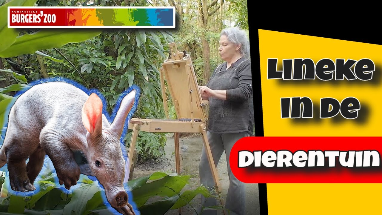 Dieren tekenen in dierentuin Burgers Zoo - Aardvarken : Dier 1