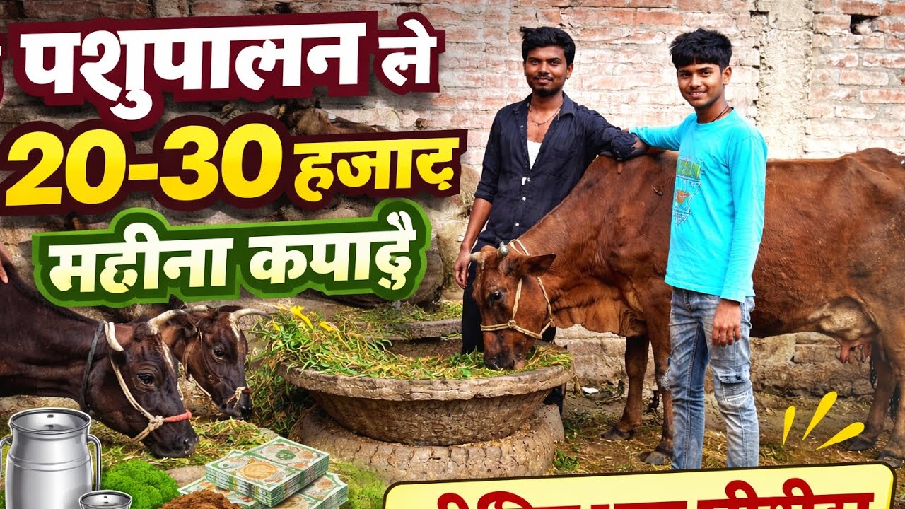 पशुपालन से 20–30 हजार महीना कमाई | गाय भैंस पालन पूरा प्रोसेस | Animal Husbandry Income