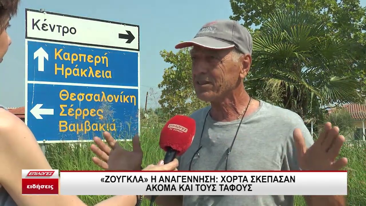 Ζούγκλα η Αναγέννηση Σερρών: Τα χόρτα σκέπασαν ακόμα και τους τάφους