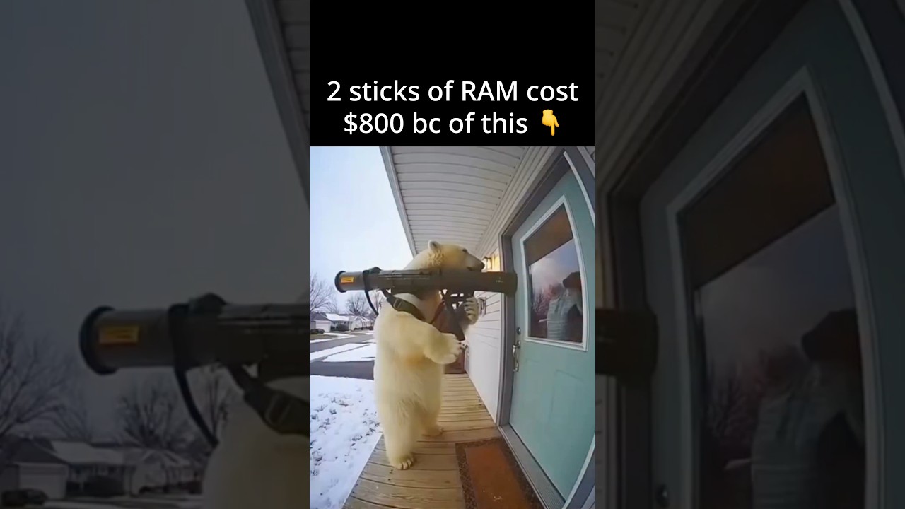 2 sticks of RAM cost $800 bc of this