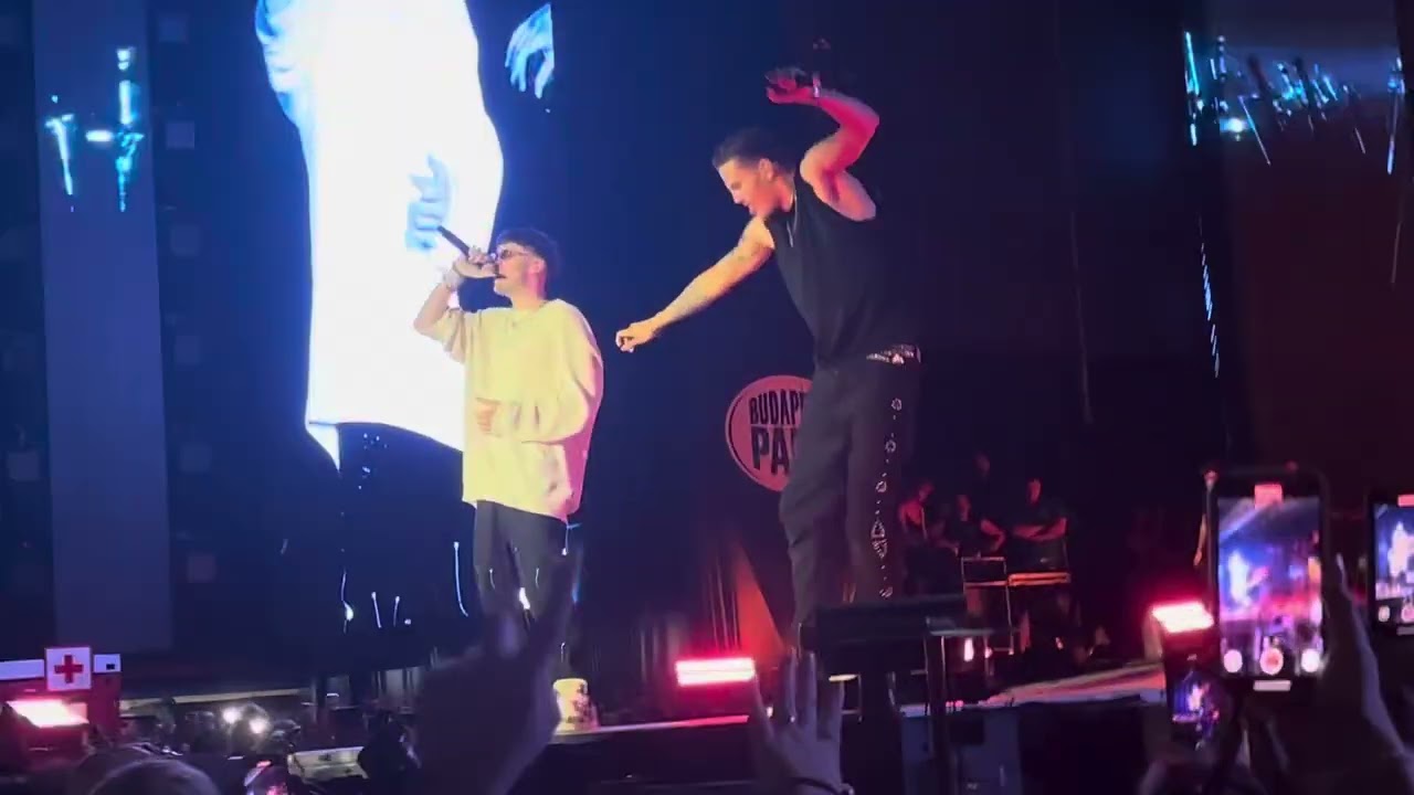 No woman no cry ❤️ #tdanny #budapestpark #2025 #youngfly 