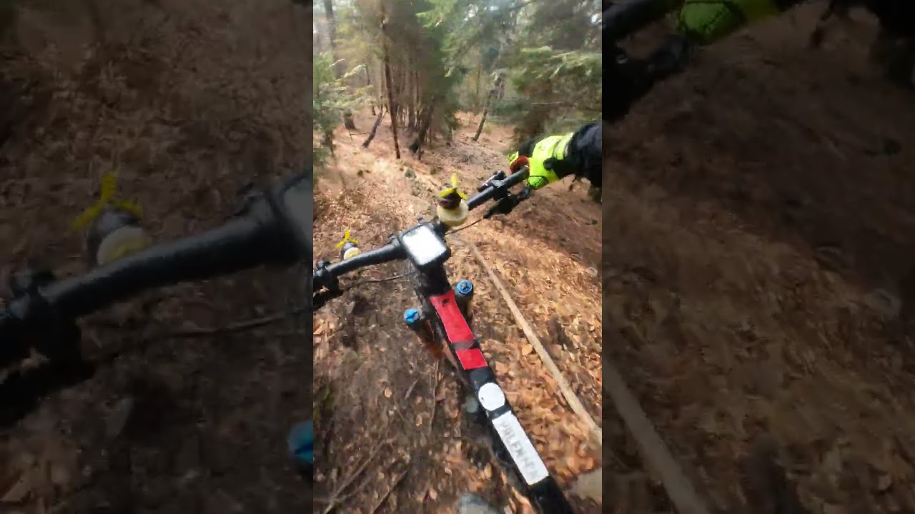 Kłańce na rozruch Magureczka 😍🔥