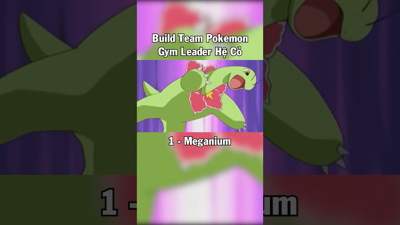 Pokemon Meganium - Build Team Pokemon Gym Leader Hệ Cỏ (P.1)