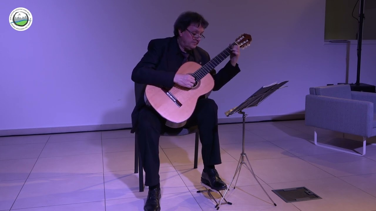 Koncert Uroša Dojčinovića u Domu kulture u Novom Bečeju