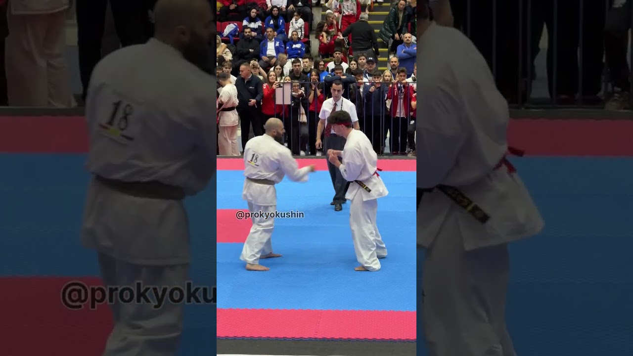1/16 Alejandro Navarro (Spain) - Mykhailo Pelikh (Poland, aka) 22nd European kyokushin championship