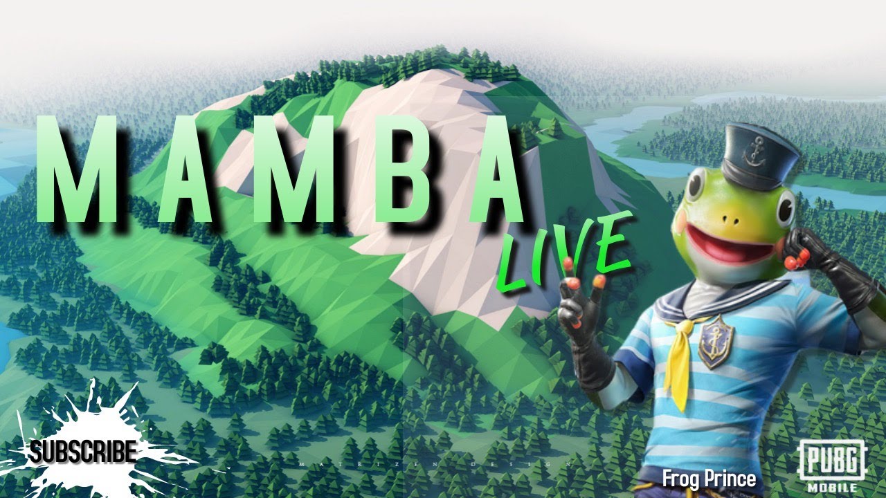 M A M B A Live Stream