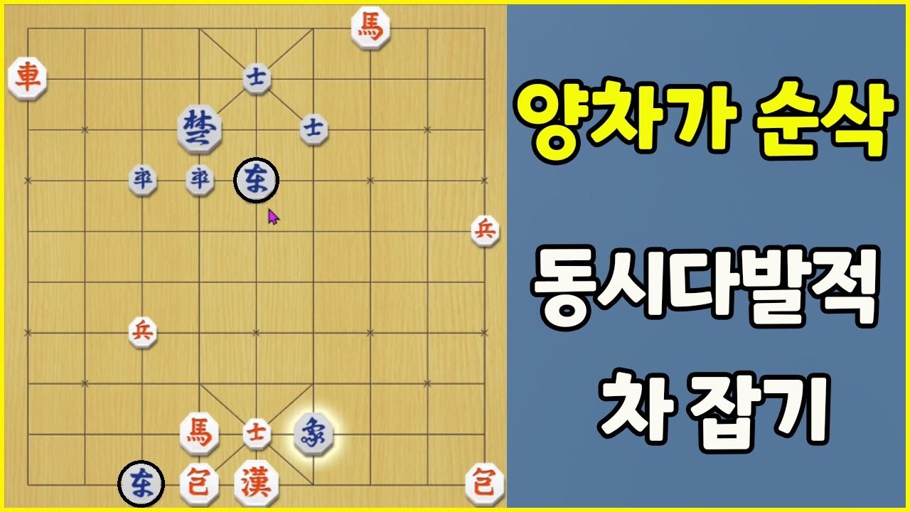 [프로의 한수] 양차가 순삭!! 동시다발적 차 잡기