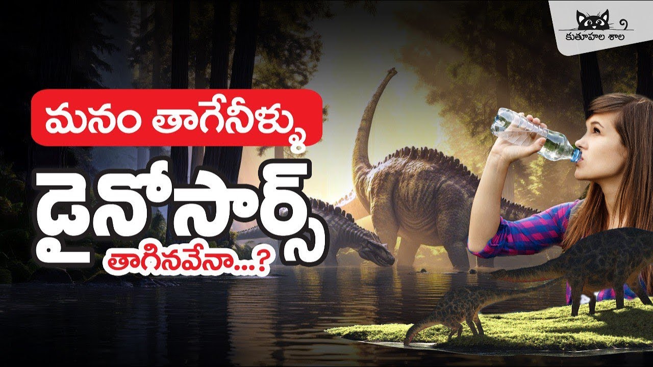 మనం ఇప్పుడు తాగే నీళ్లు ఒకప్పుడు డైనోసార్స్ తాగినవేనా ?  Origin of Water | Water Quantity on Earth