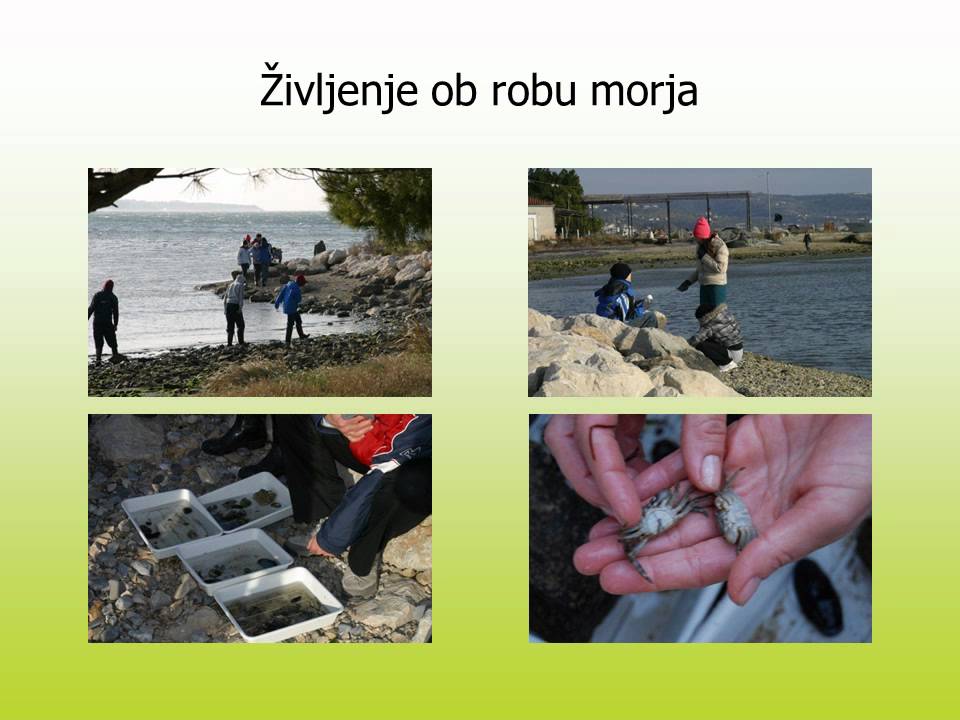 Dom Burja v Seči.wmv
