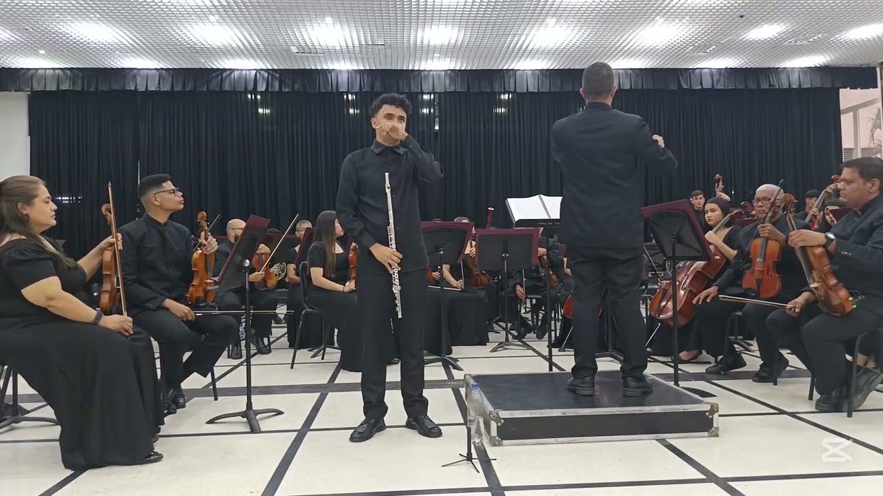 Carl Reinecke , Flute Concerto Op. 283