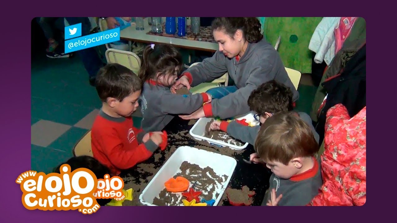Colegio Loris Malaguzzi - El Ojo Curioso