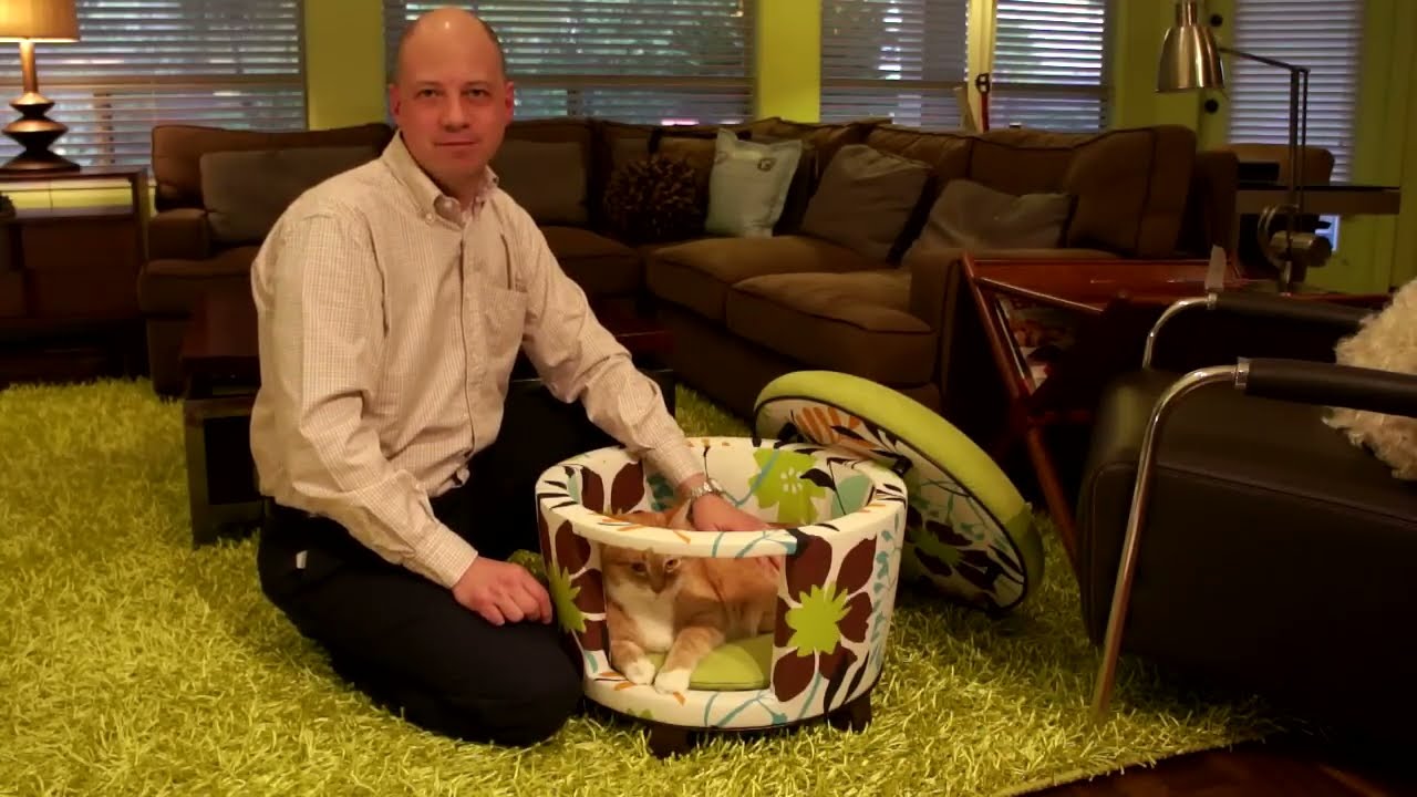 Custom Modern Cat and Dog Ottoman