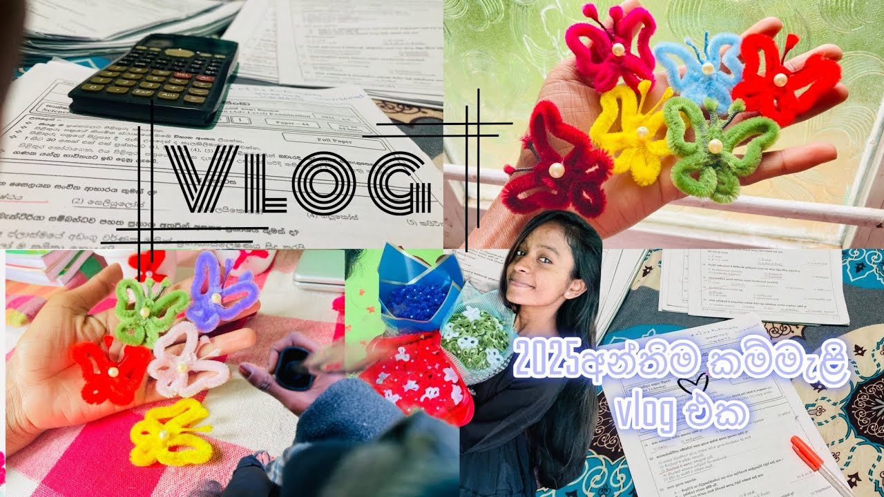 2025 අන්තිම  vlog එක#subscribe #vlog #last #flowers #comment #butterfly 