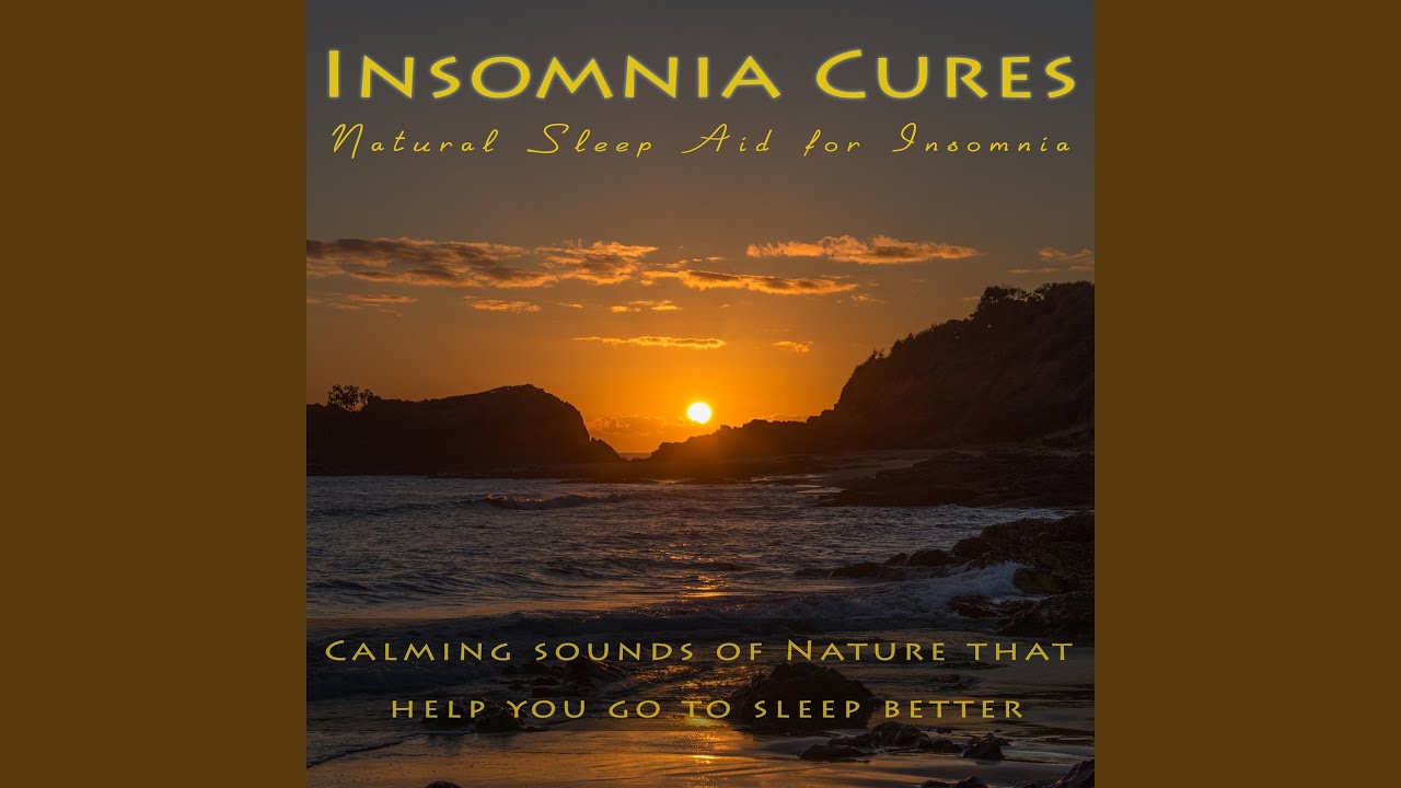 Rainforest Evening Atmosphere (feat. Australian Nature Sounds, Wild Eden & Dr Eric Fassbender)