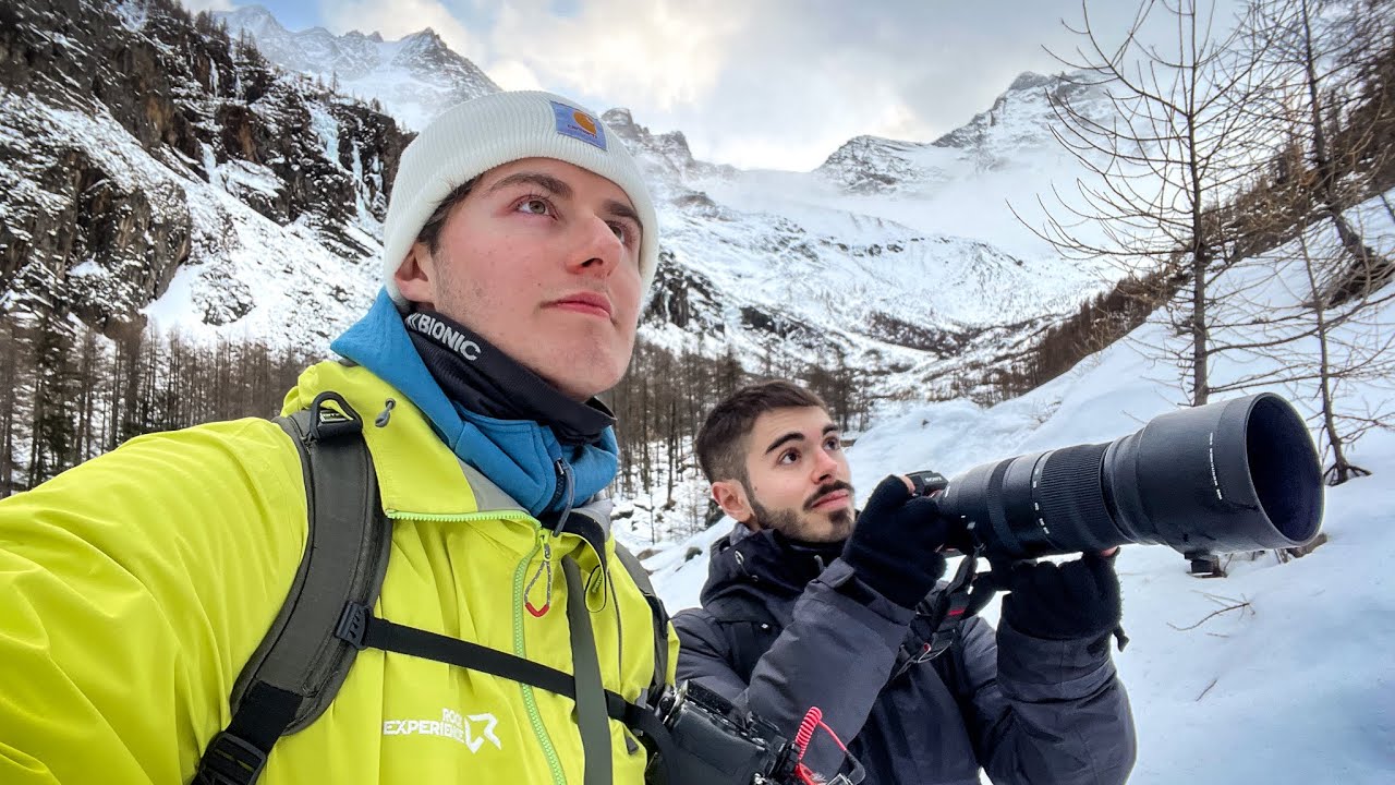 GLI ANIMALI DEL GRAN PARADISO