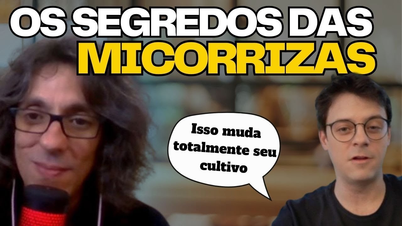 O que s&atilde;o as MICORRIZAS? Os Fungos que v&atilde;o Revolucionar seu Cultivo de maconha