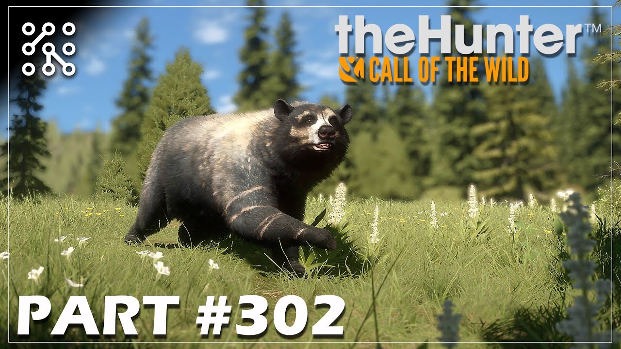 Jaká jsou vlastně ta nejlepší jezera na medvědy? #302 | The Hunter: Call of the wild  |  Česky