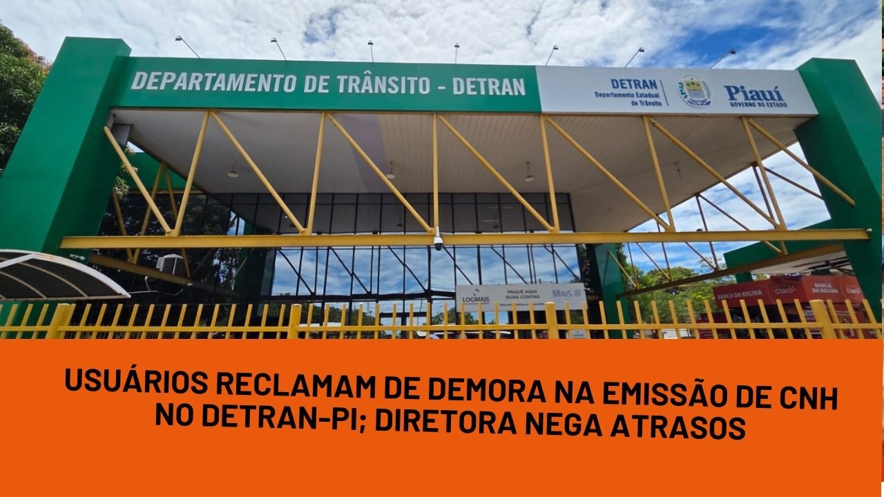 Usu&aacute;rios reclamam de demora na emiss&atilde;o de CNH no Detran-PI; diretora nega atrasos