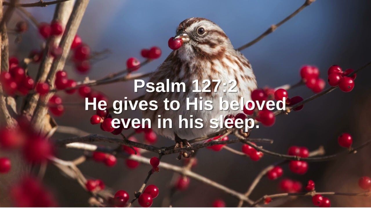 Psalms 127:2 (Promise)