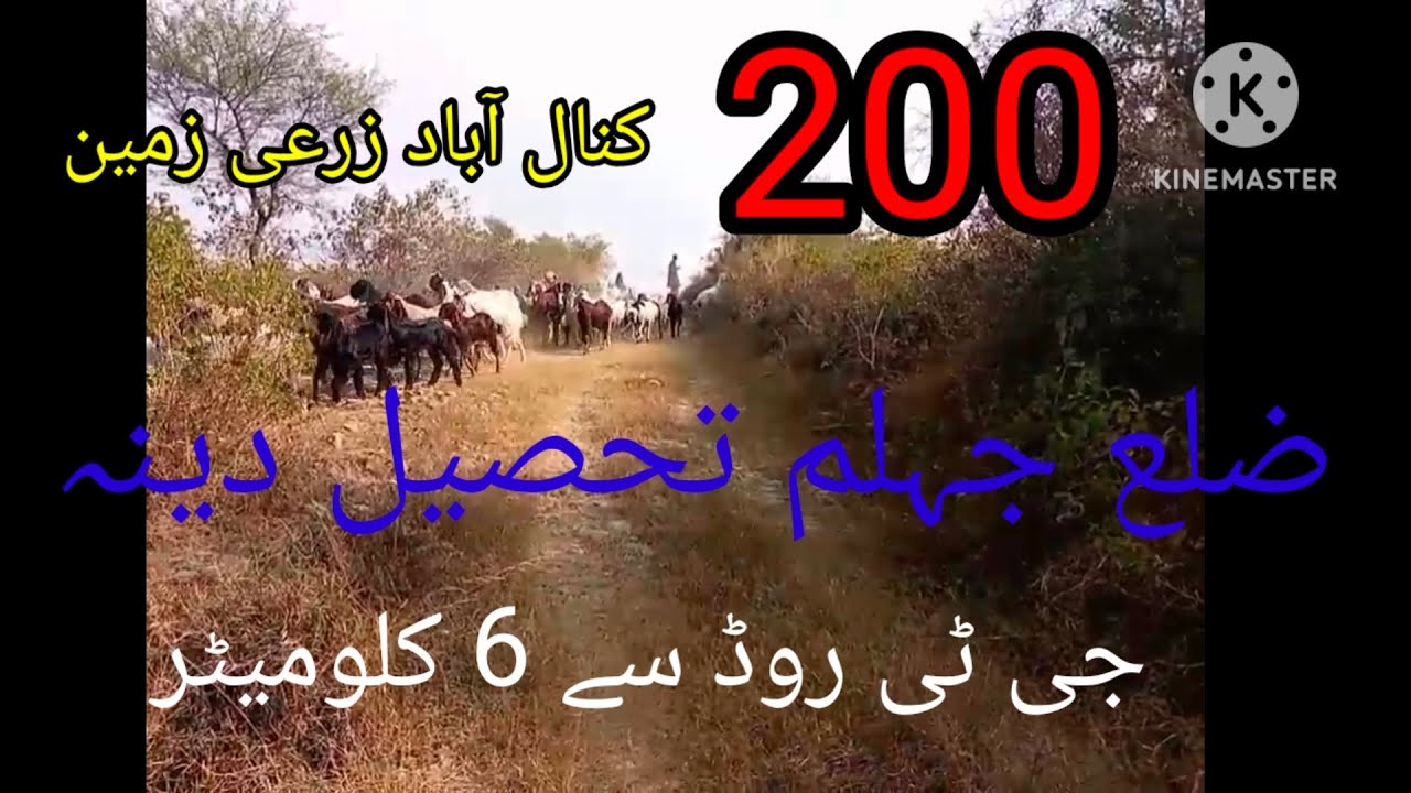 New Land for sale in Jehlum agriculture land for sale in Deena Al Karam property chakwal 