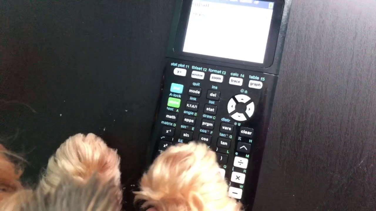 THE OFFICE: dog edition