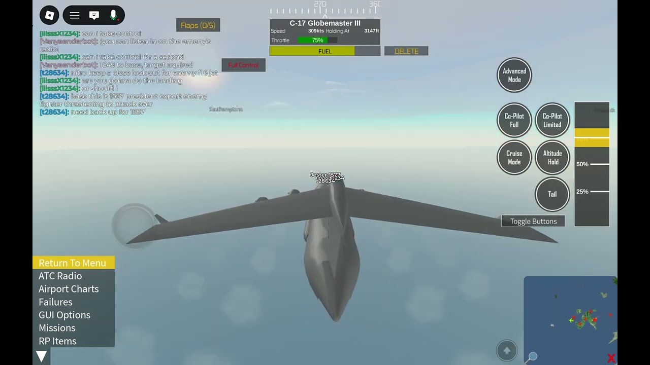 Pilot flight simulator rp