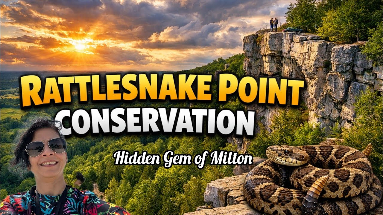 Rattlesnake Point Conservation Area | Hidden Gem in Milton, Ontario 🇨🇦