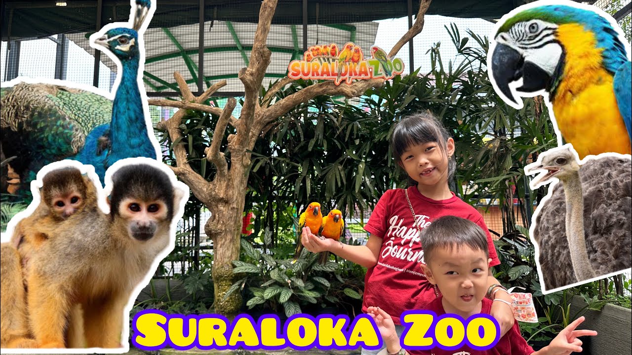 Wisata Jogja | Suraloka Zoo Kaliurang