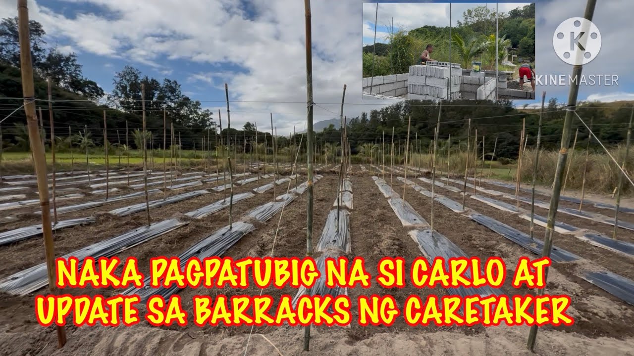 NAKA PAGPATUBIG NA SI PARENG CARLO AT UPDATE SA BARRACKS OF THE CARE TAKER ￼