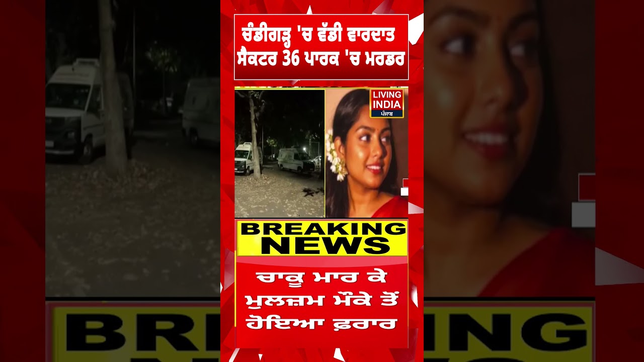 Chandigarh 'ਚ ਵੱਡੀ ਵਾਰਦਾਤ, Sector 36 ਪਾਰਕ 'ਚ ਮਰਡਰ | Police Investigation | incident | Clash |#shorts