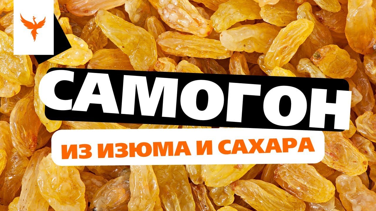 сДЖ 16: Самогон из изюма 🍇 и сахара. Что это❓ Посредственный сахарный самогон или тяжелая чача 🔨 ❓