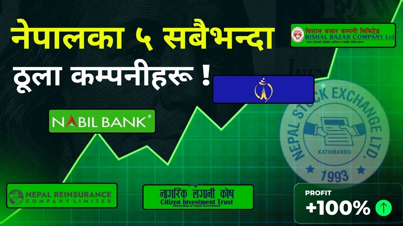नेपालका ५ सबैभन्दा ठूला कम्पनीहरू || Top 5 Largest Companies in Nepal.
